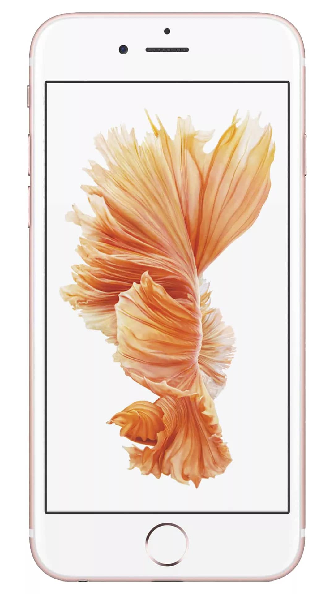 iPhone 6S